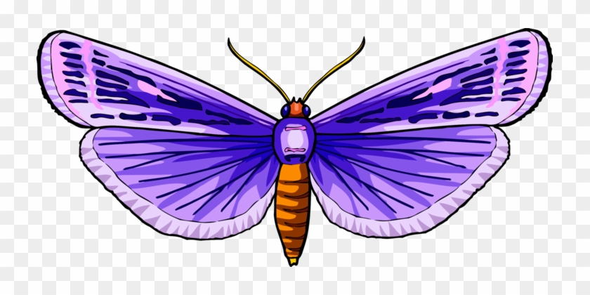 Monarch Butterfly Moth Brush-footed Butterflies Wing - Butterfly #1377490
