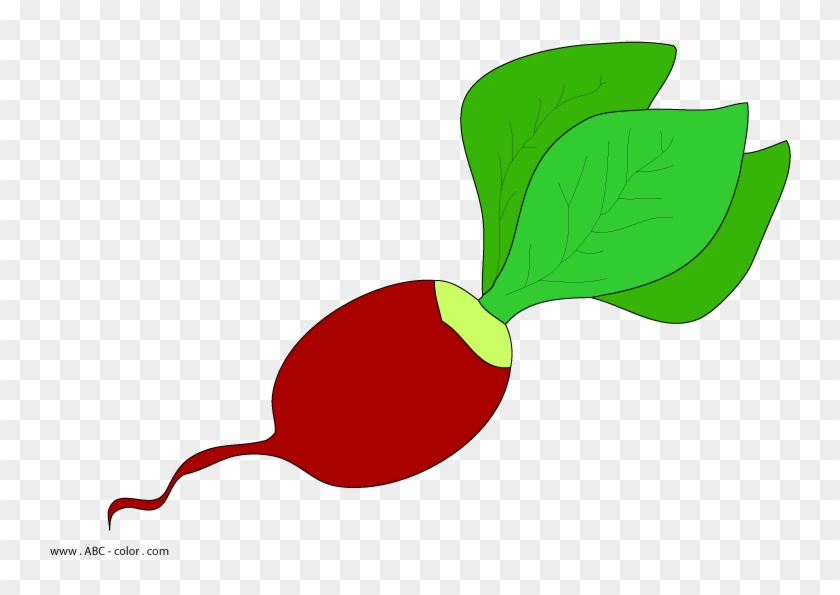 Download Bitmap Picture Radish - Редиска Рисунок #1377697