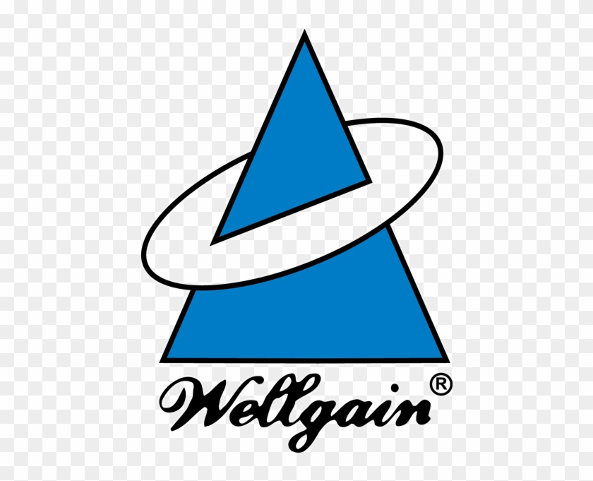 Wellgain International Industrial Ltd - Dongguan #1377782
