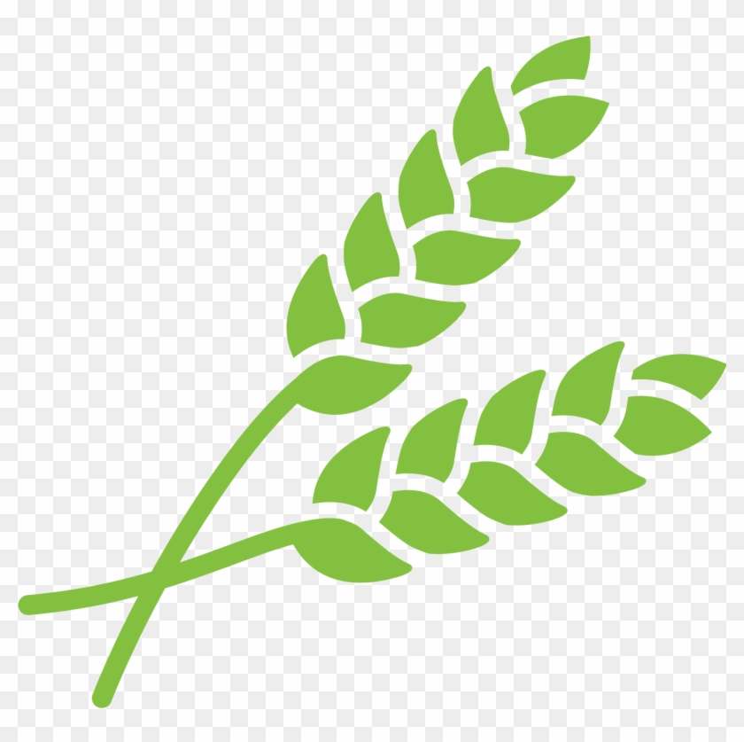 Crop Understand Grain Quality Issues - La Misericordia È Una Carezza - Francesco I (jorge #1378035
