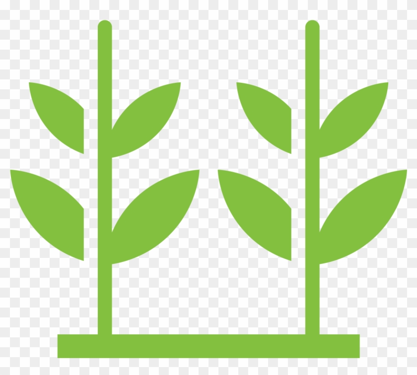 Crop Acreage Appraisal - Crop Plant Transparent Png #1378044