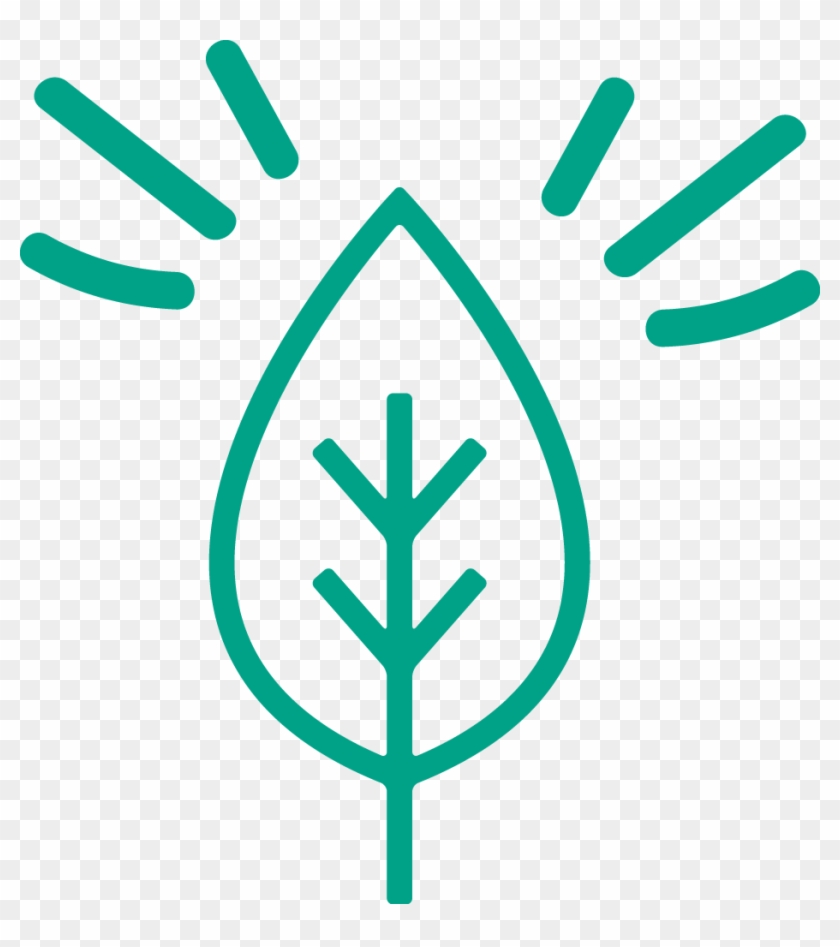 Sustainable Travel - Bio Line Icon #1378689