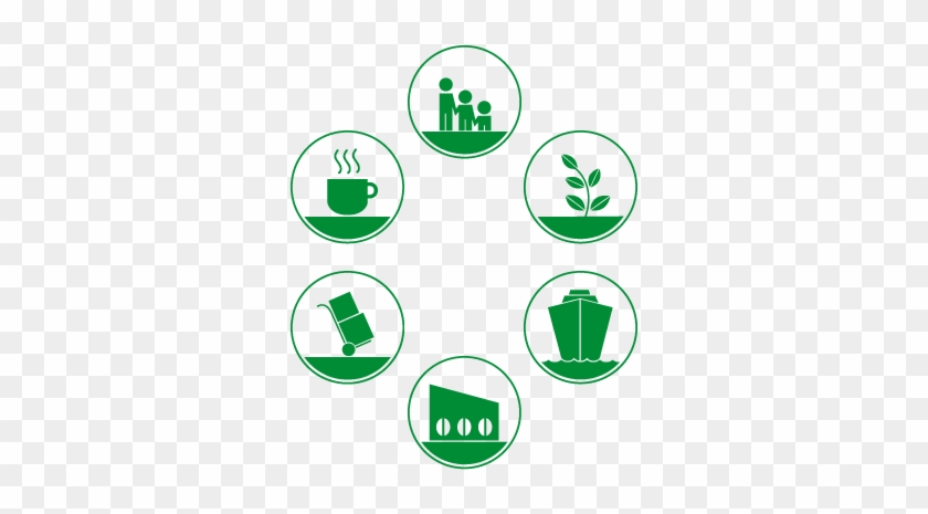Sustainable Coffee Is At The Heart Of What We Do - Coffee #1378694