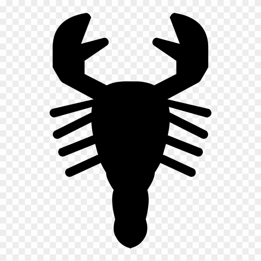 Arachnids - Crab #1379282