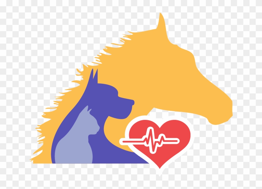 24 Hour Emergency Vet Open Public Holidays Contact - Baldivis Vet Hospital #1380613