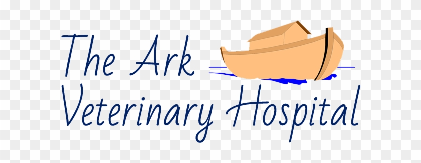 Veterinary Physician #1380638