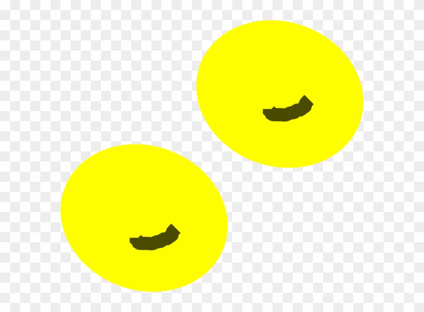 Circle #1381100