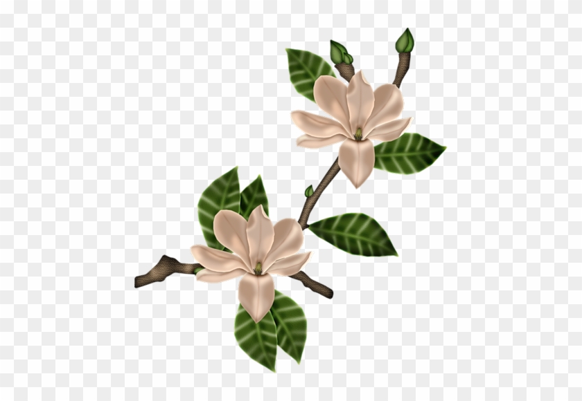 Fm Summerwind Element 58 - Leaves Vintage Png #1382278