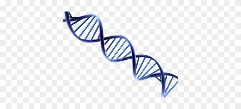 Dna - Psa And Prostate Cancer Research #1382640