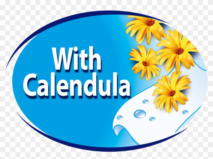 With Calendula - English Marigold #1382779