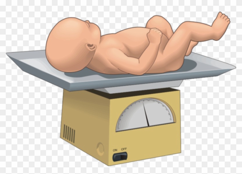 Baby Scale Clipart Baby, Baby Clip Art, Free Graphics, - Examen Fisico Del Recien Nacido #1383620