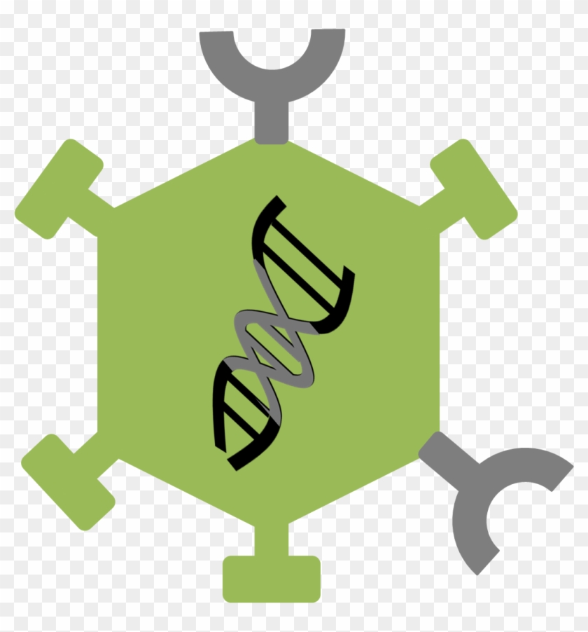 Caps#modified Oncolytic Virus - Genetically Modified Virus #1383680
