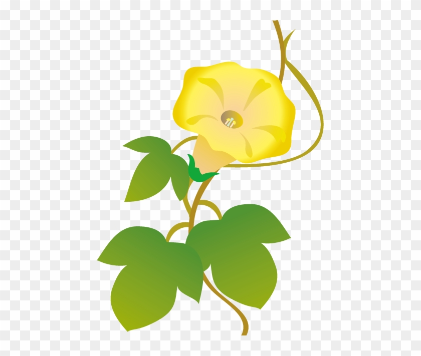 定番の花2 15 あさがおイラスト - Plawer Clip Arts #1384848