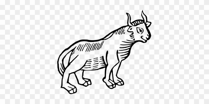 Baka Banteng Animal Drawing Bull - Baka Banteng Animal Drawing Bull #1385385