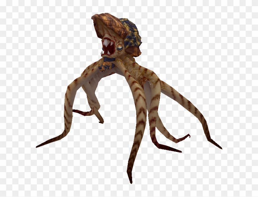 Octopus Png - Octopus Head Png #1386621
