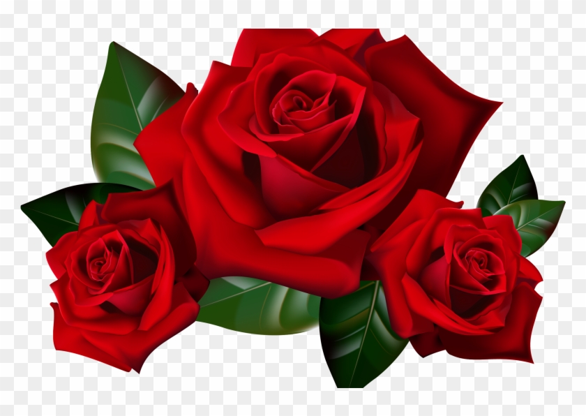 Red Roses Png Clipart Picture Hd Desktop Wallpaper - Transparent Background Red Rose Png #218900