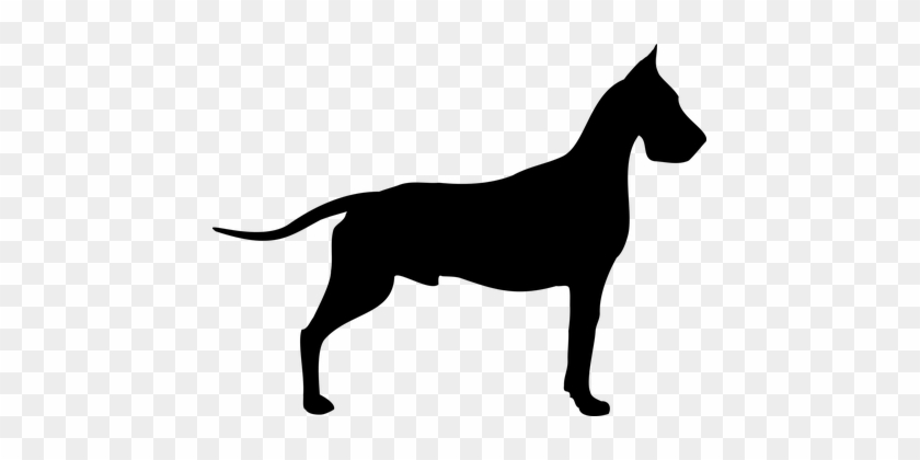 Dane Dog Doggy Breed Snout Animal Coat Cli - Flower Great Dane Floral Design Great Dane T-shirt #218906