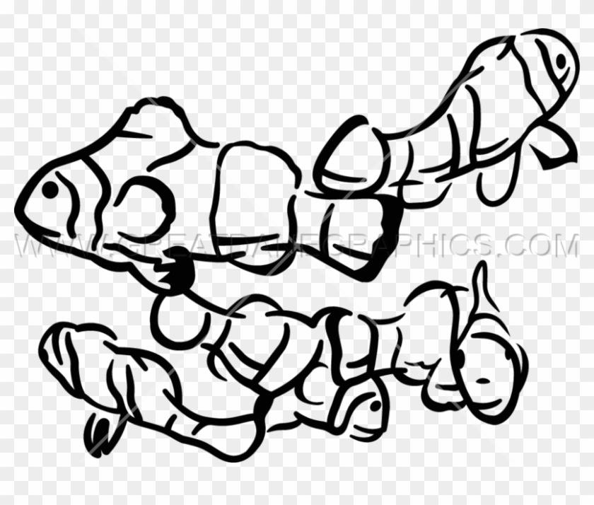 Clown Fish - Clown Fish #1387642