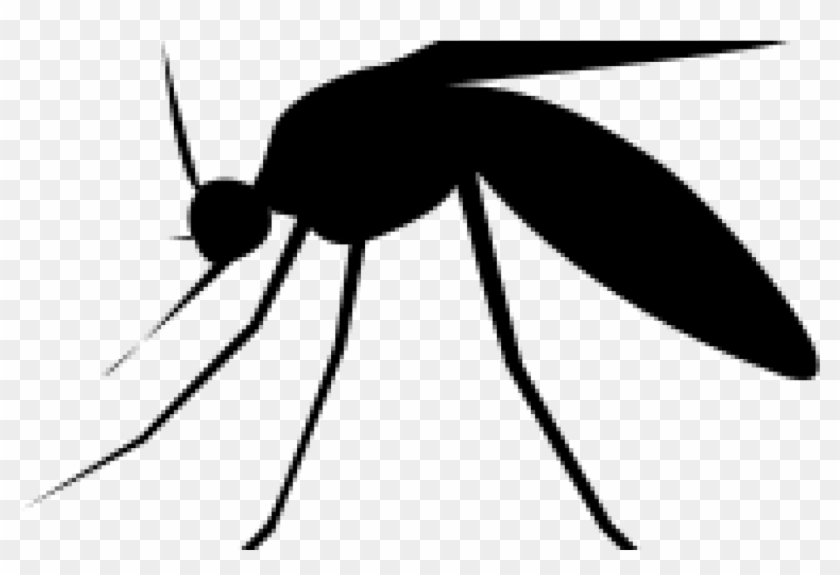 Malaria Journal Findings Highlighted On Scidev - Clip Art #1389532