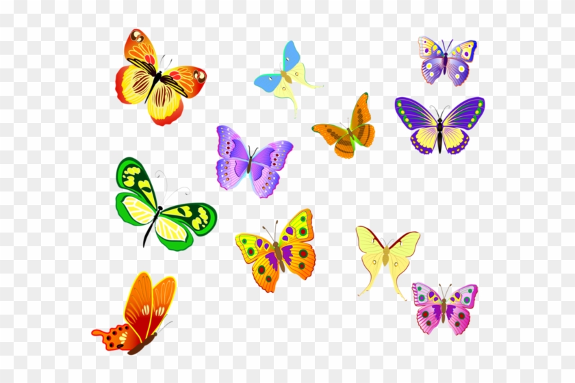 Papillons - Coloring Book For Grown Ups: Gorgeous And Elegant Butterflies #1389563