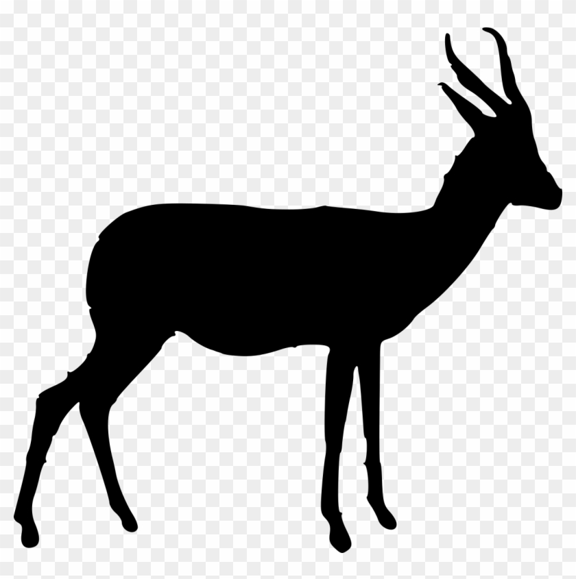 Springbok Clipart Animal - Springbok Clipart Png #1390023
