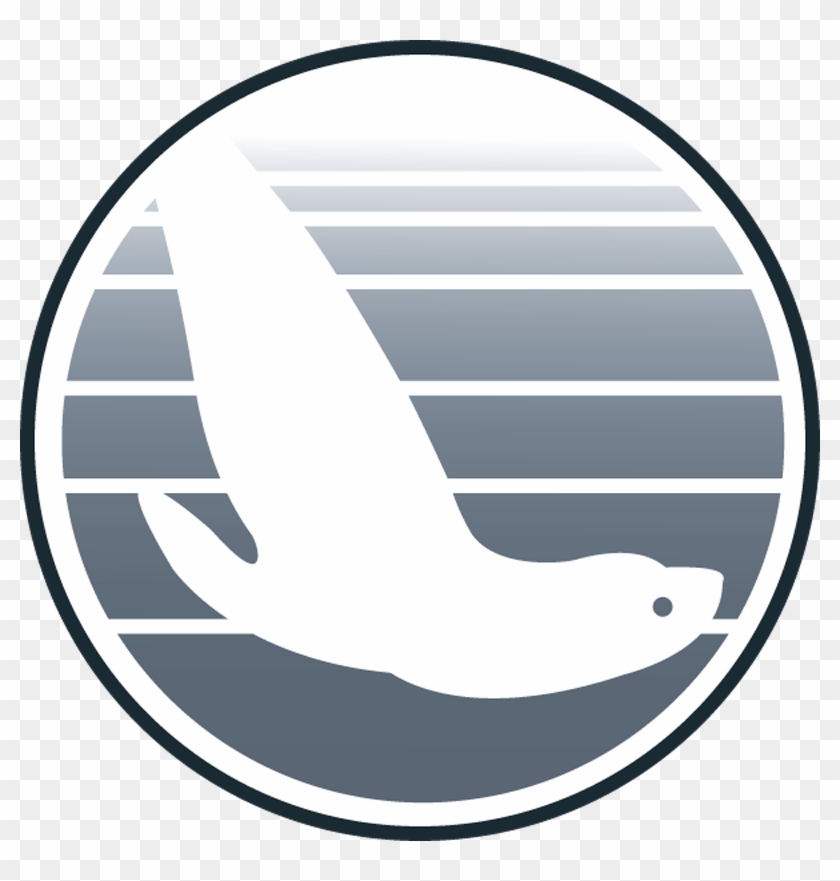 Testg - Steller Sea Lion #1390745