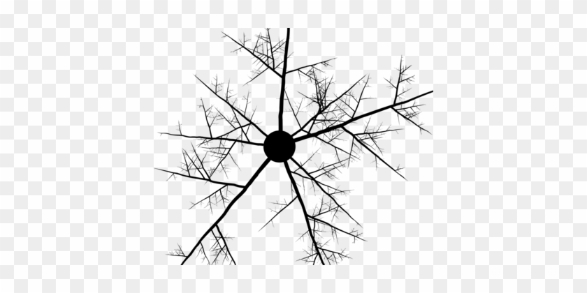 Twig Branch Abstract Art Tree Line Art - Abstract Free Form Drawing #1391576
