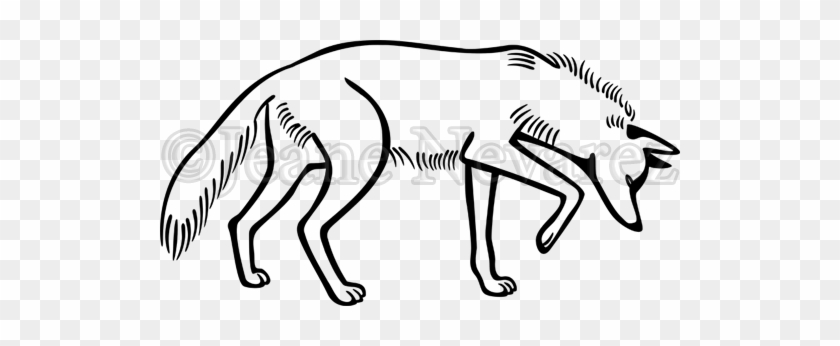 Sniffing - Coyote Drawing #1391952