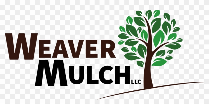 Dirt Clipart Humus Soil - Java Interview Guide: How To Build Confidence #1392056