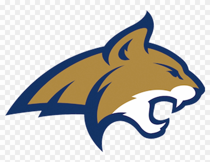 Svg Library Library Bobcat Clipart Bearcat - Msu Bobcats Football #1392634
