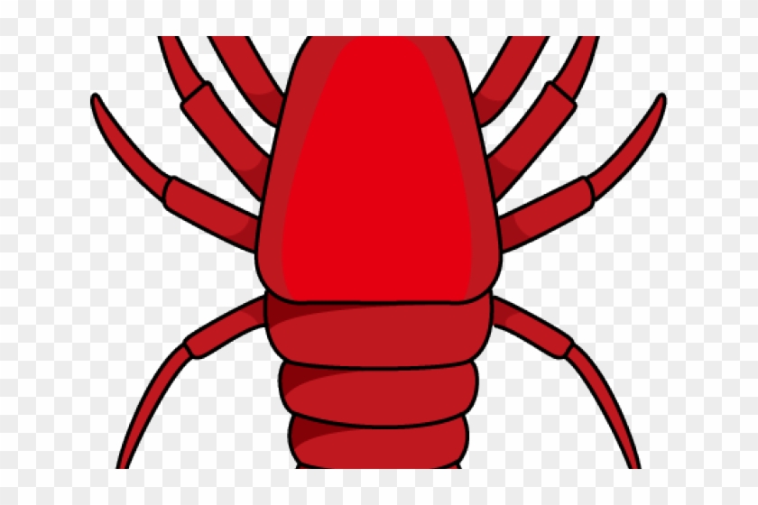 Shrimp #1393101