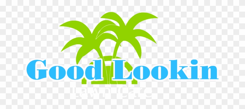 Good Lookin Lawn Care Now Offers Skid Steer Tractor - Graphic Design #1393815