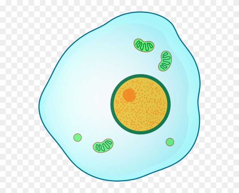 Biology Clipart Cell For Kids - Real Madrid C.f. #1394116