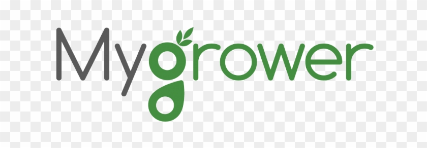 Need The Ability To Access Your Pnw Accounts Quickly - Hypothesis Group Logo #1394279