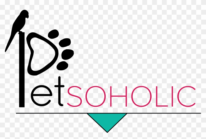 Petsoholic - Dog #1395541