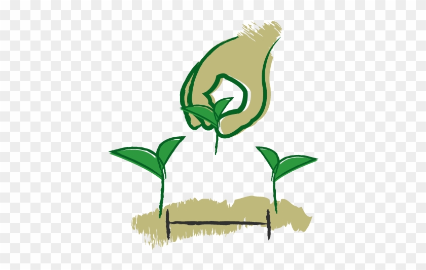 Thinning - - Garden #1395835