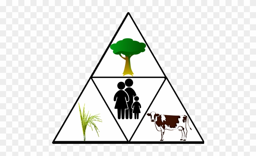 Agroforesterie Definition #1396214