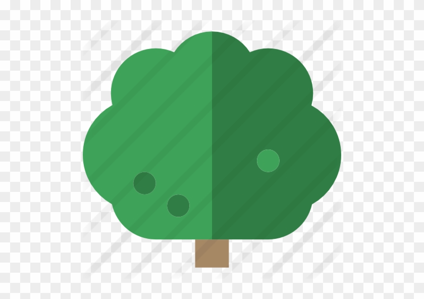 Oak - Oak #1396391