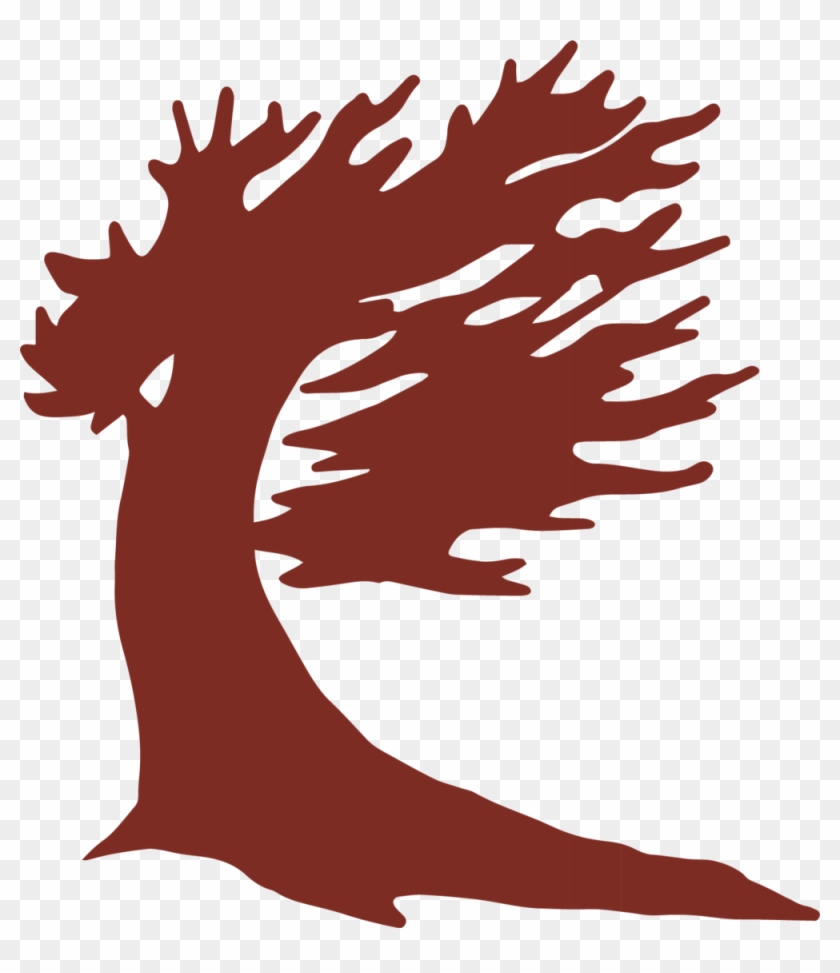 Bristlecone Icon Red Format=1000w - Bristlecone Icon Red Format=1000w #1396392