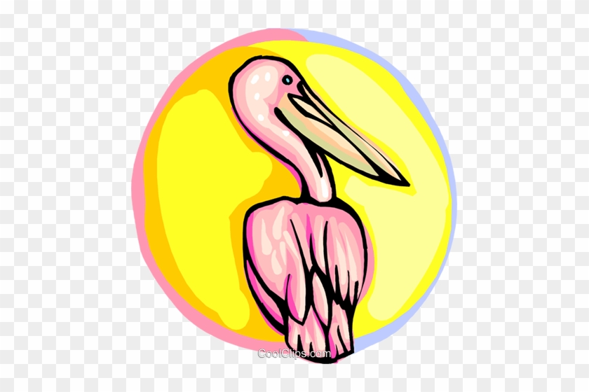 Pelican Royalty Free Vector Clip Art Illustration - Pelican Royalty Free Vector Clip Art Illustration #1396449