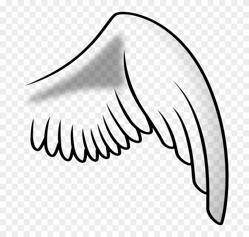 Clipart Resolution 582*597 - Transparent Cartoon Bird Wings #1396755