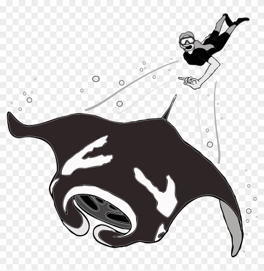 Chances Are If You Are Diving With A Manta, You Will - Code Of Conduct Manta #1397702