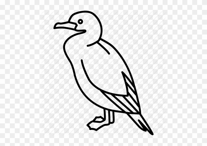 Clipart Library Download Birds Outlines By Jisun - Cormorant #1397797