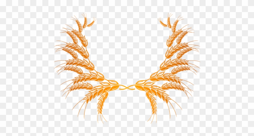 Wheat Png - Espigas De Trigo Png #1398319