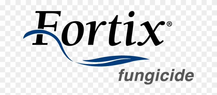 Fortix - Wheat - Everest #1398330