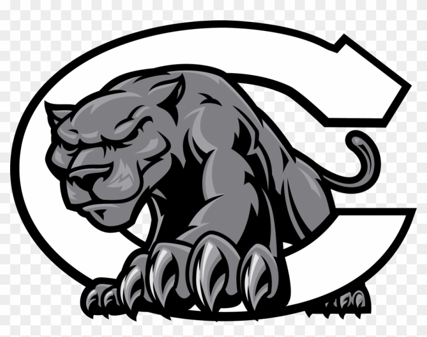 Cbms Cross Country Conquers The Clarence Cannon Conference - Centralia High School Panthers #1398719