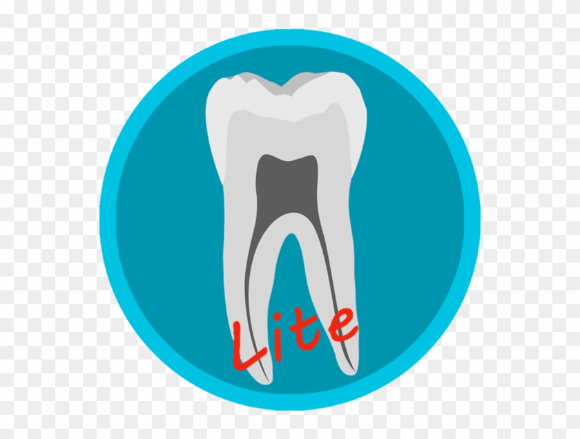 Dental Corpus Anatomy Lite V Mac App Storu - Touchbistro Logo #1399431