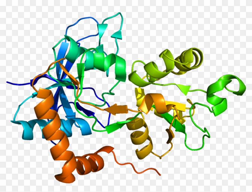 Alpha Lactalbumin Molecule Structure #1400636