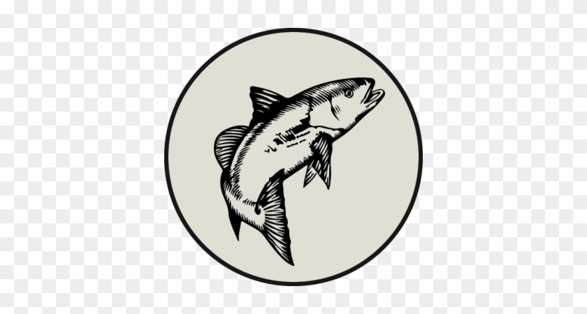 Seafood - Asset #1401816