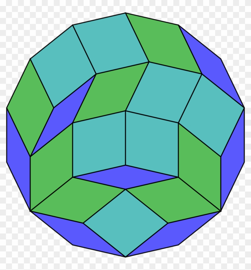 File Gon Dissection Wikimedia - Scalable Vector Graphics #1401965